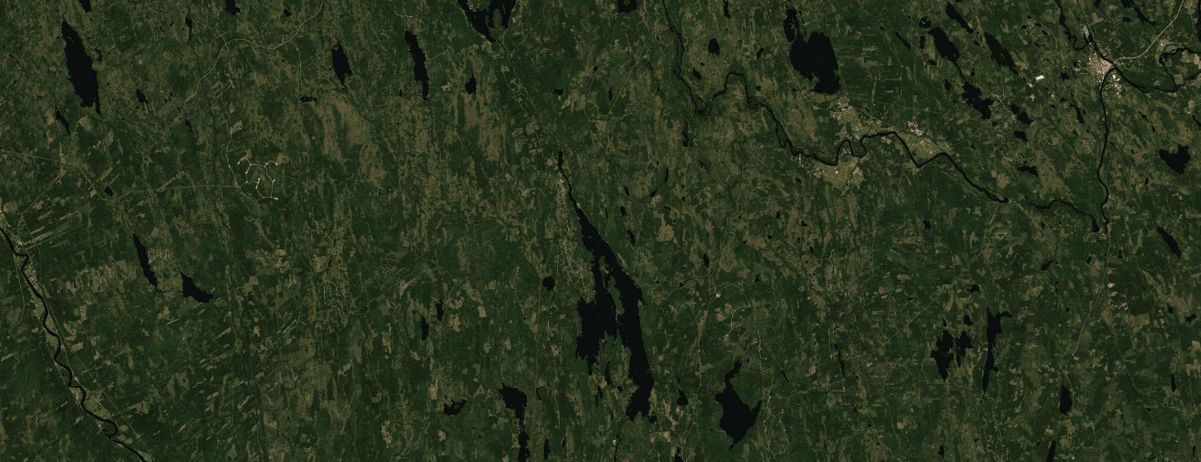 ClearSKY cloud-free composite over forest