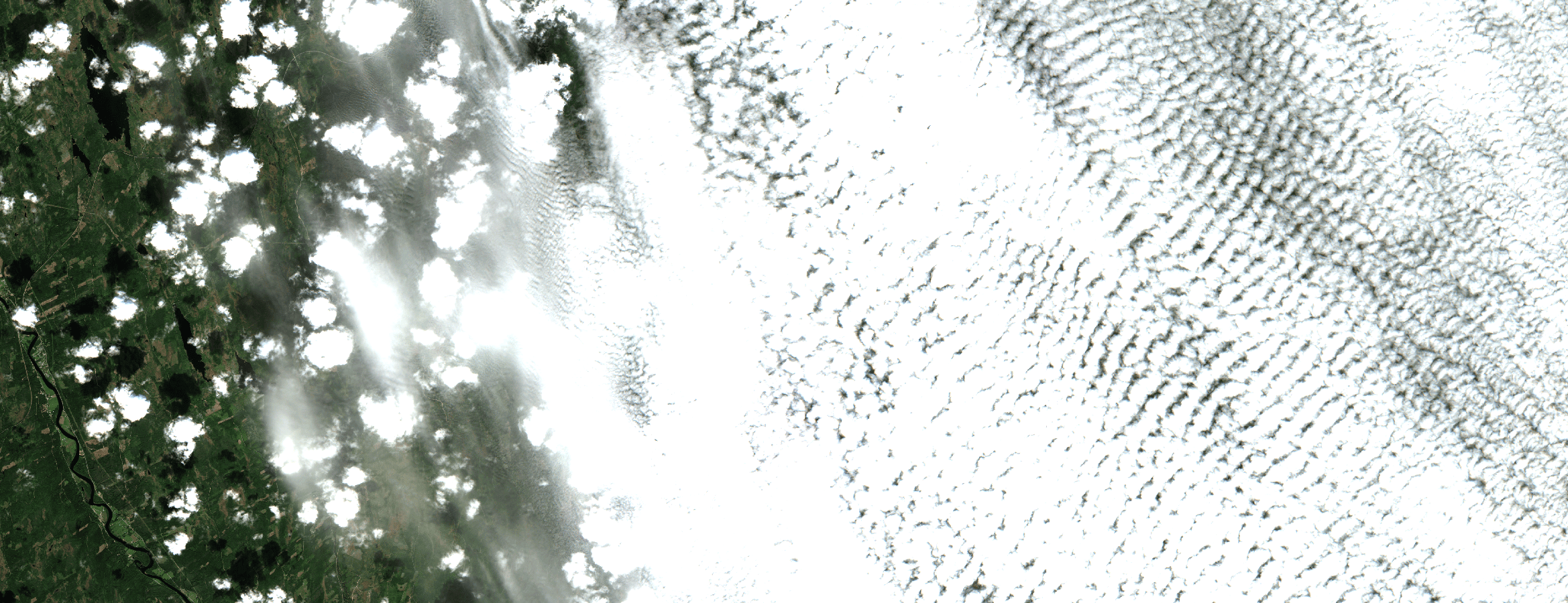 Cloudy Sentinel-2 image over forest