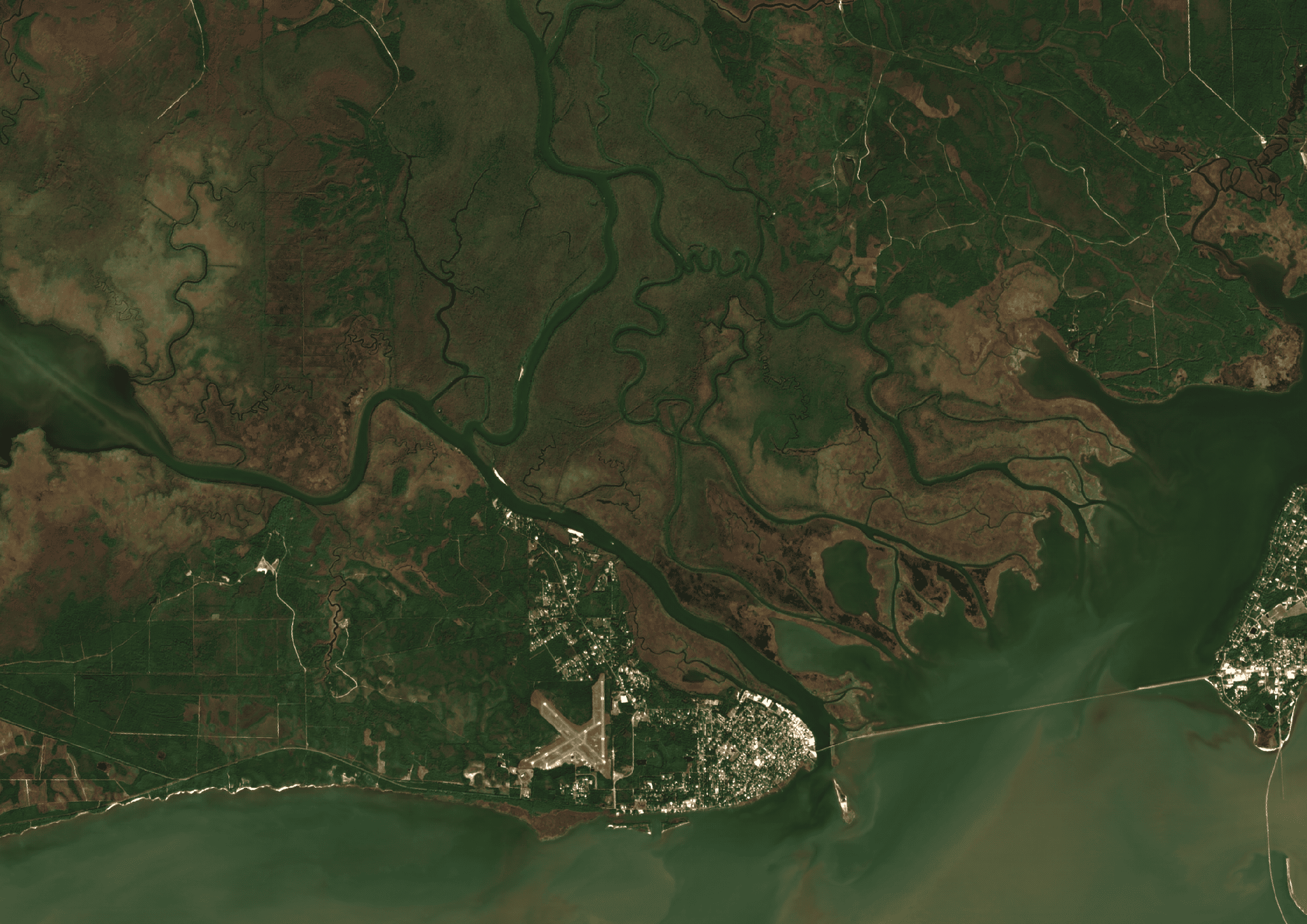 Apalachicola Floodplain ClearSKY preview from 2022-11-04