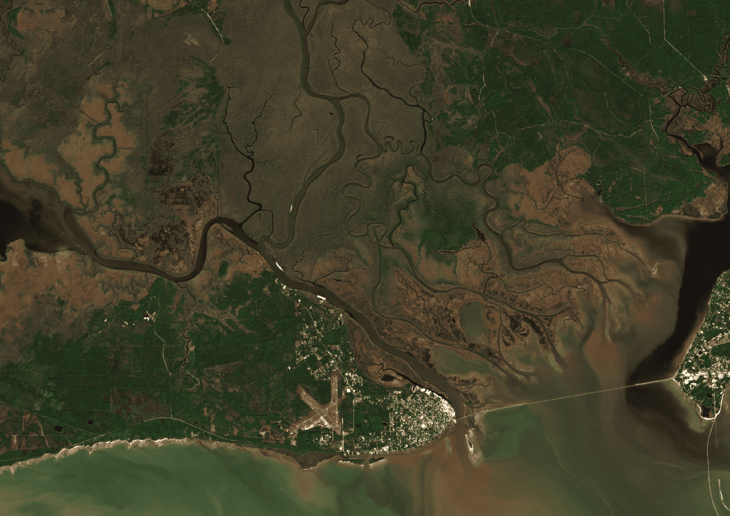 Apalachicola Floodplain ClearSKY preview from 2024-01-10