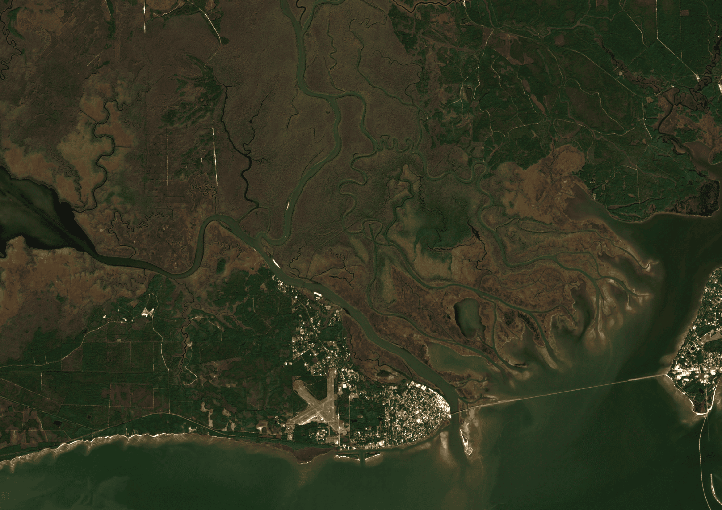 Apalachicola Floodplain ClearSKY preview from 2025-01-04