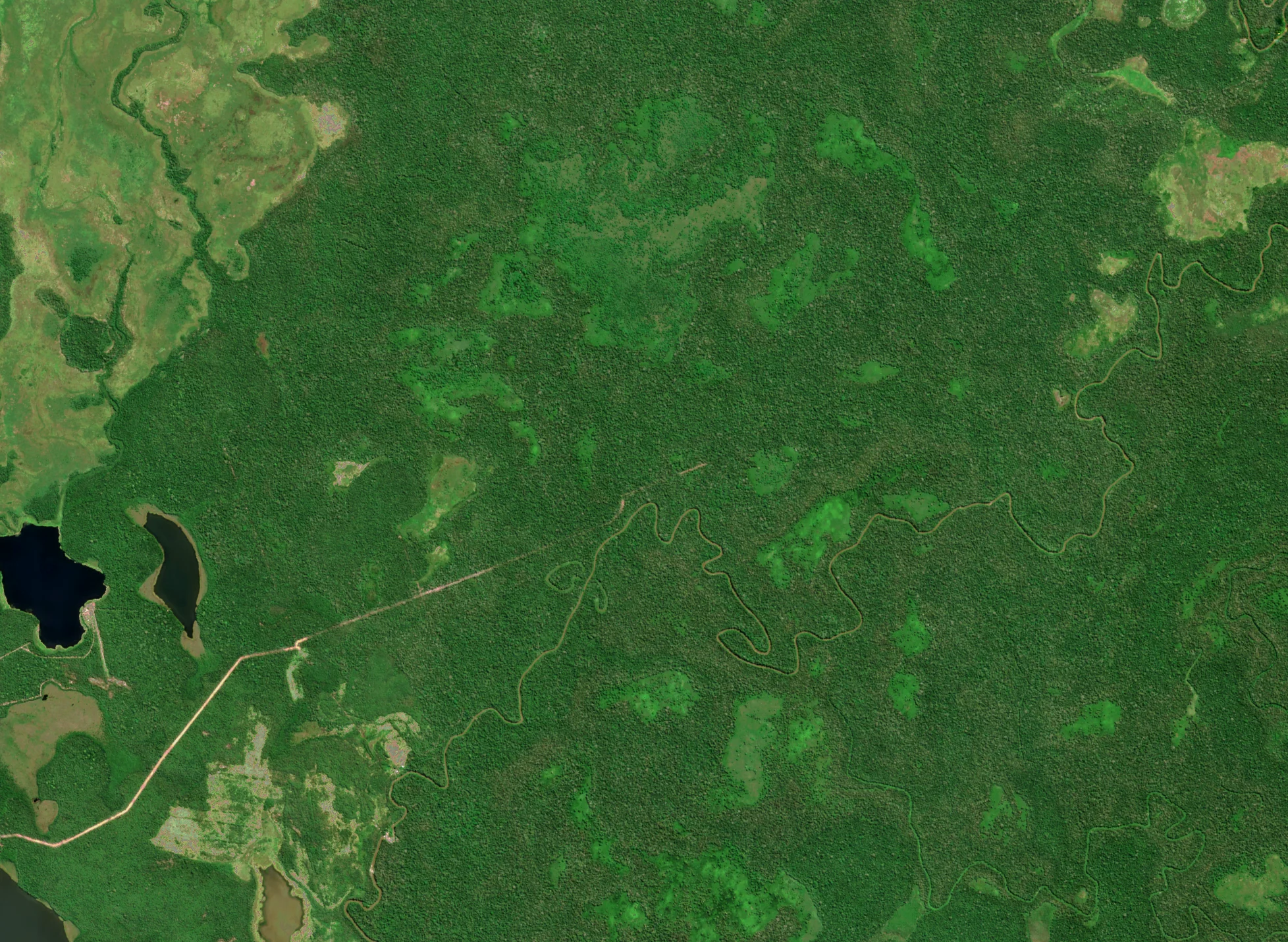 Bolivia Deforestation ClearSKY preview from 2023-08-01