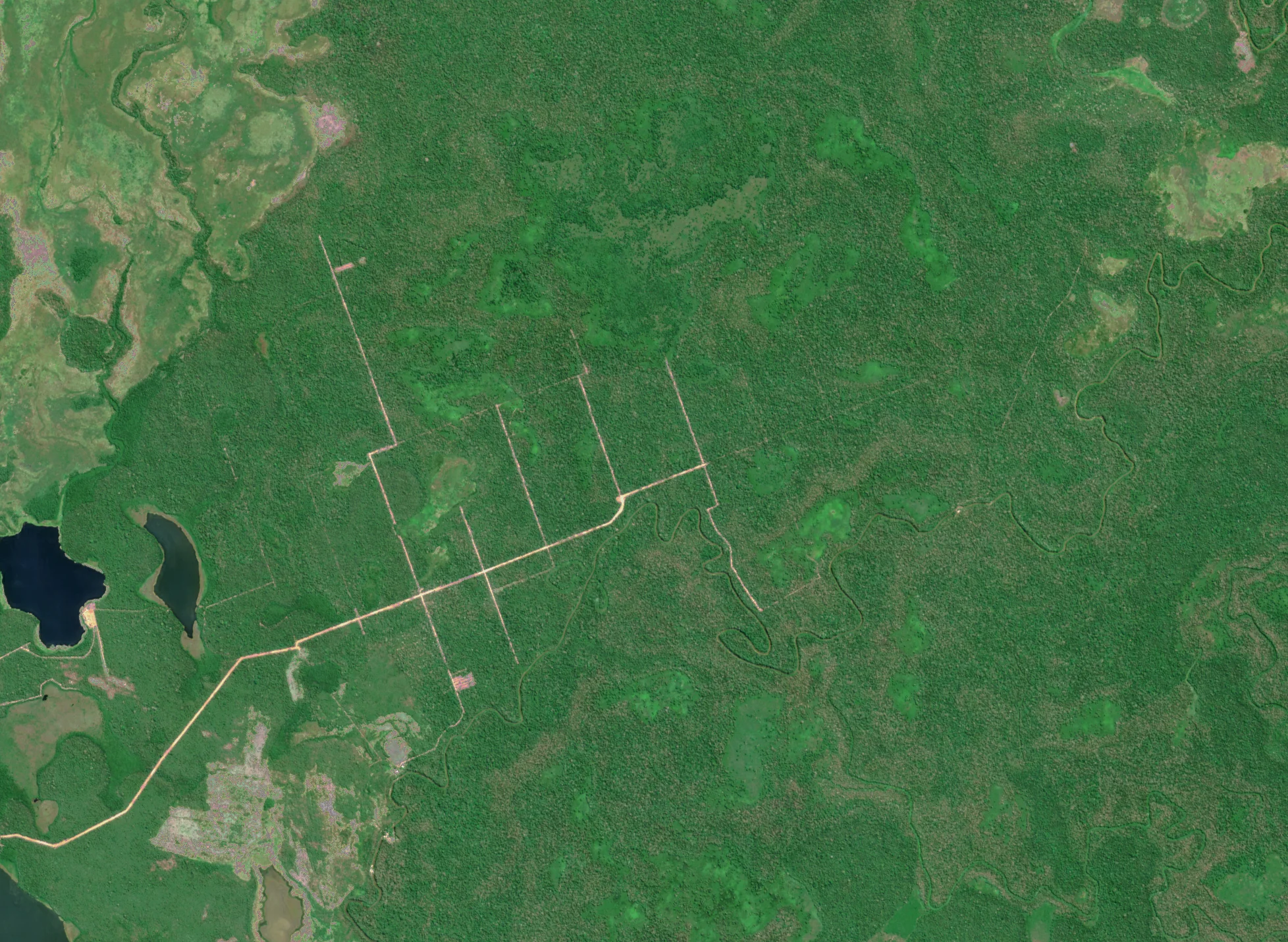 Bolivia Deforestation ClearSKY preview from 2023-09-06