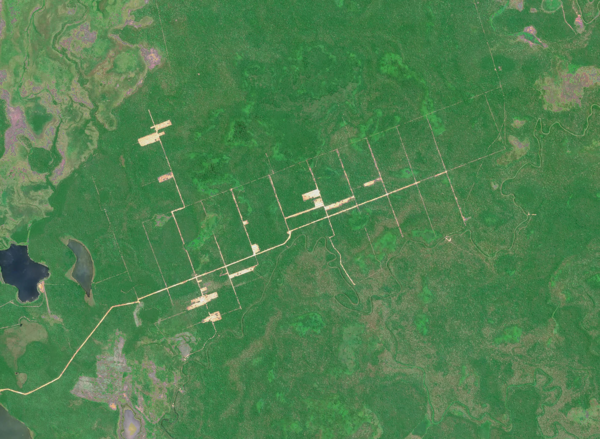 Bolivia Deforestation ClearSKY preview from 2023-10-13
