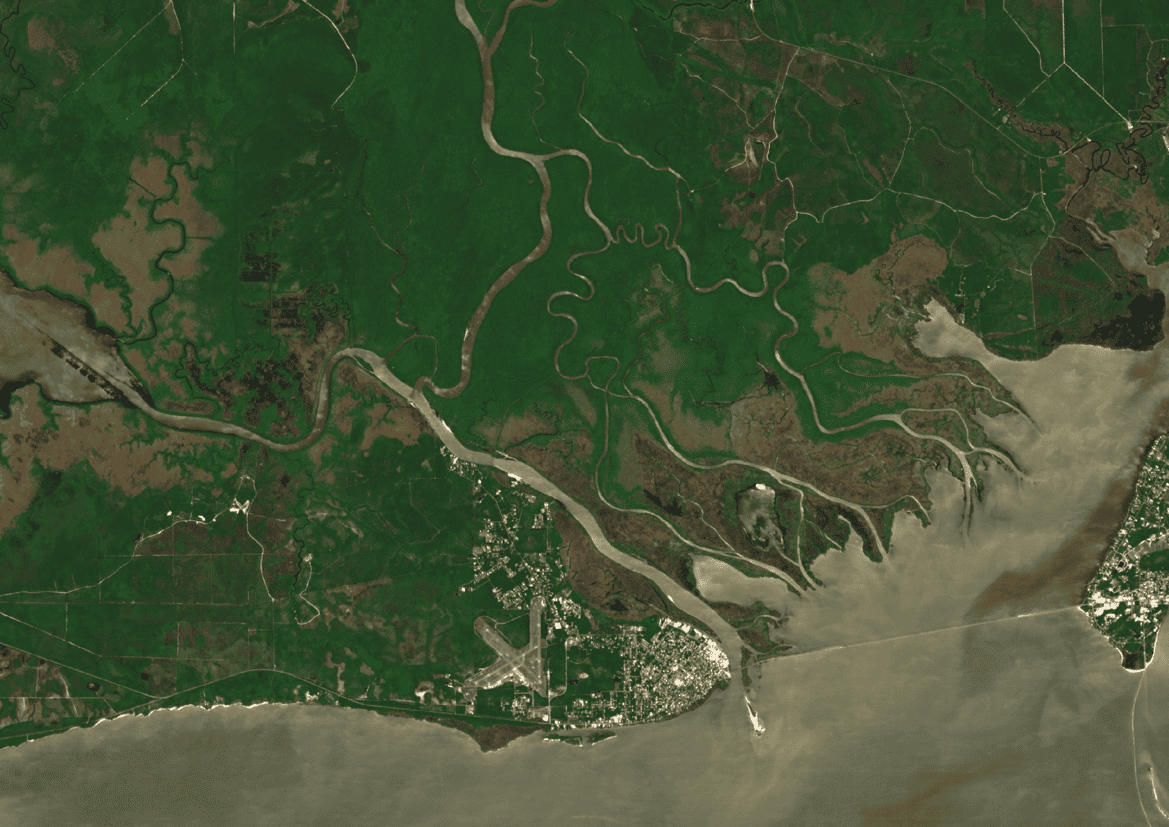Apalachicola Floodplain